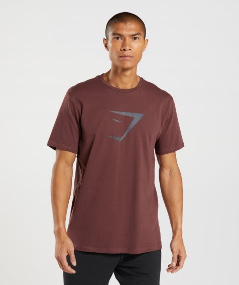 Koszulki Gymshark Sharkhead Infill Męskie Brązowe | PL 659PQJ